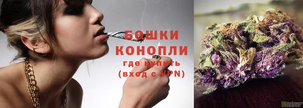 spice Дмитровск