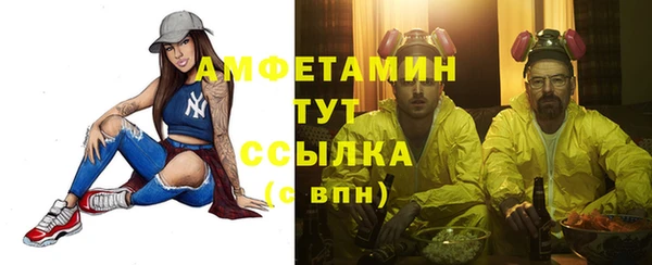 стаф Дмитров