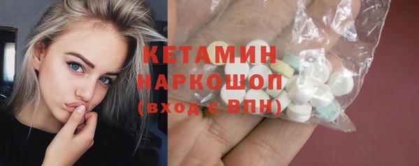 стаф Дмитров