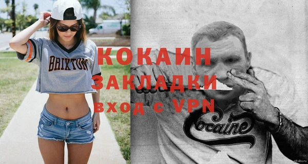 стаф Дмитров