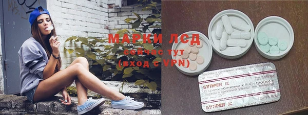 spice Дмитровск