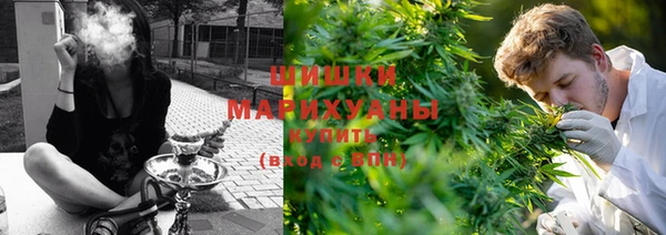 стаф Дмитров