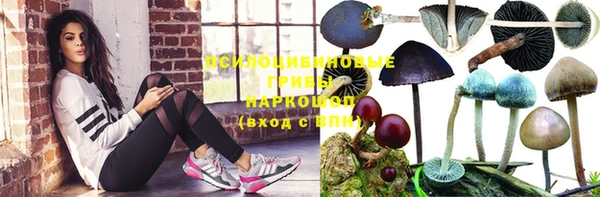 Альфа ПВП Дмитриев