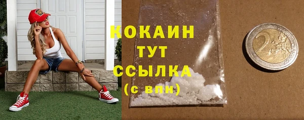 стаф Дмитров
