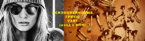 стаф Дмитров
