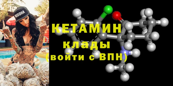 стаф Дмитров