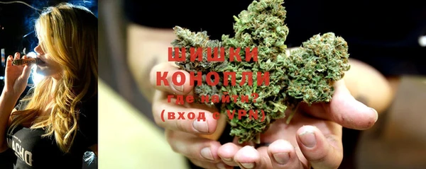 Альфа ПВП Дмитриев