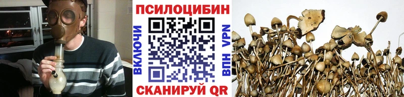 Псилоцибиновые грибы Magic Shrooms mega Нестеровская