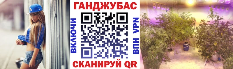 ссылка на мегу как войти Нестеровская Конопля конопля